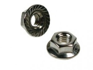 Serrated Flange Nuts A2 304 Stainless
